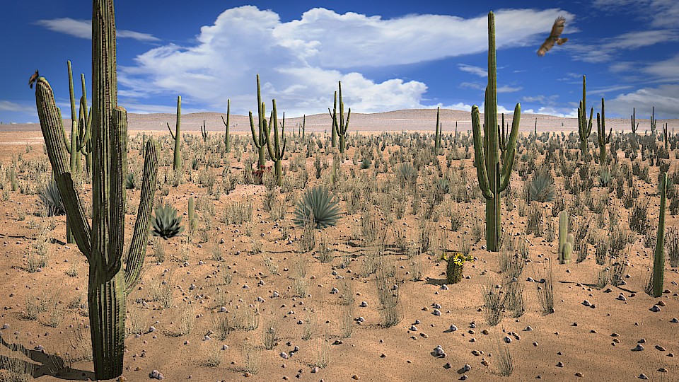 Desert Scene preview image 1